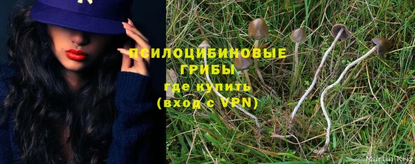 крисы Абинск