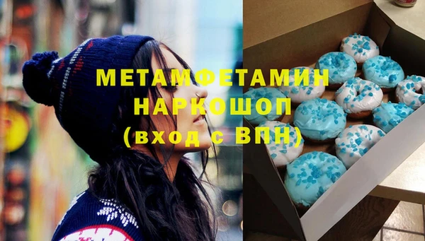 индика Алексин