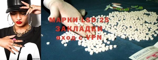 индика Алексин
